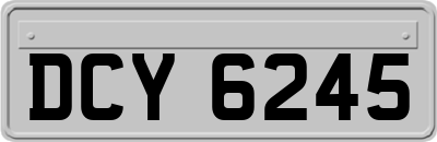 DCY6245