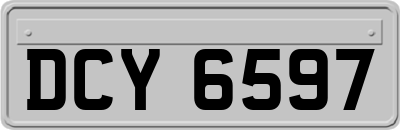 DCY6597