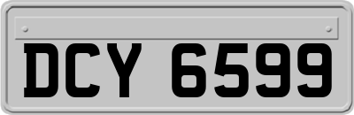 DCY6599