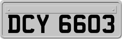 DCY6603