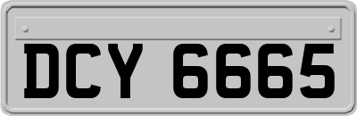 DCY6665