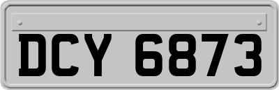DCY6873