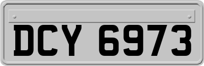 DCY6973