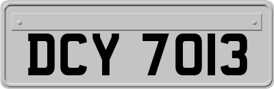 DCY7013
