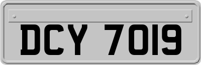 DCY7019