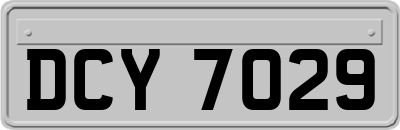 DCY7029