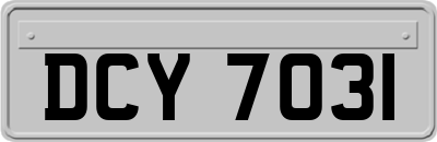 DCY7031