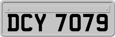 DCY7079