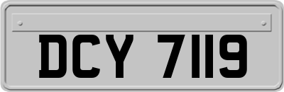 DCY7119