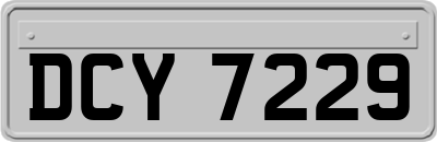 DCY7229