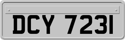 DCY7231