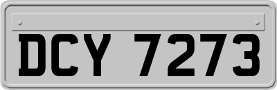DCY7273
