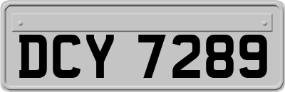 DCY7289