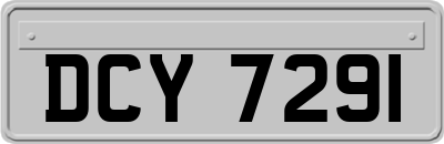 DCY7291
