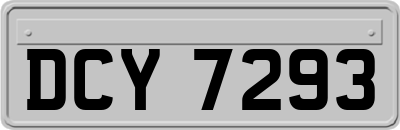 DCY7293