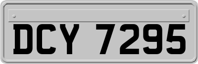 DCY7295
