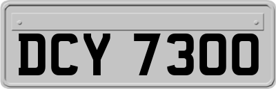 DCY7300