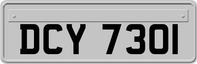 DCY7301