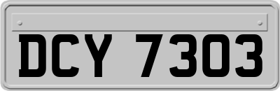 DCY7303