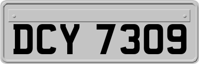 DCY7309