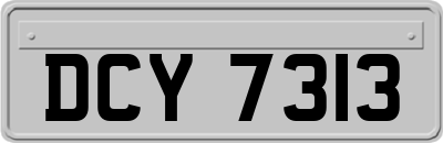 DCY7313