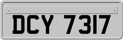 DCY7317