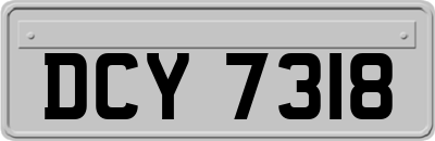 DCY7318