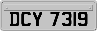 DCY7319