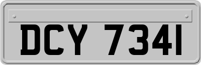 DCY7341