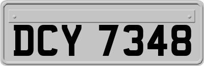 DCY7348