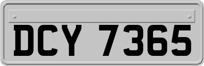 DCY7365