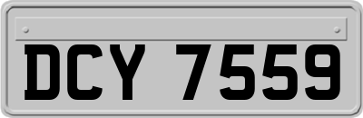 DCY7559
