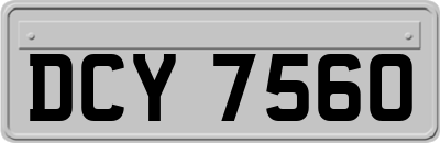 DCY7560