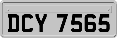 DCY7565