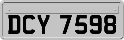 DCY7598