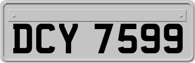 DCY7599