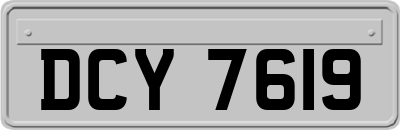 DCY7619