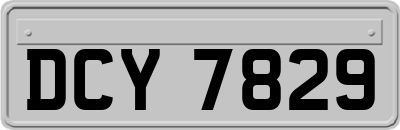 DCY7829