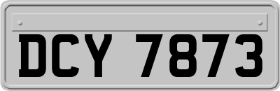 DCY7873