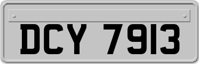 DCY7913