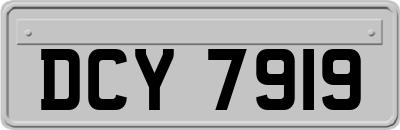 DCY7919