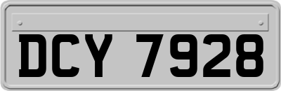 DCY7928
