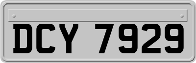 DCY7929
