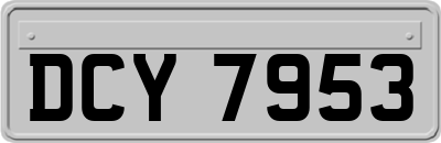 DCY7953