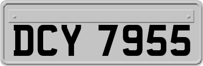 DCY7955