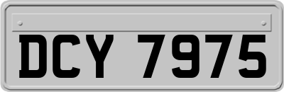 DCY7975