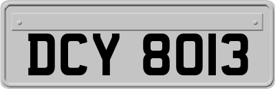 DCY8013