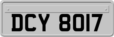 DCY8017
