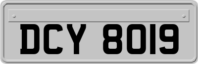 DCY8019