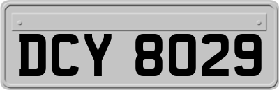 DCY8029